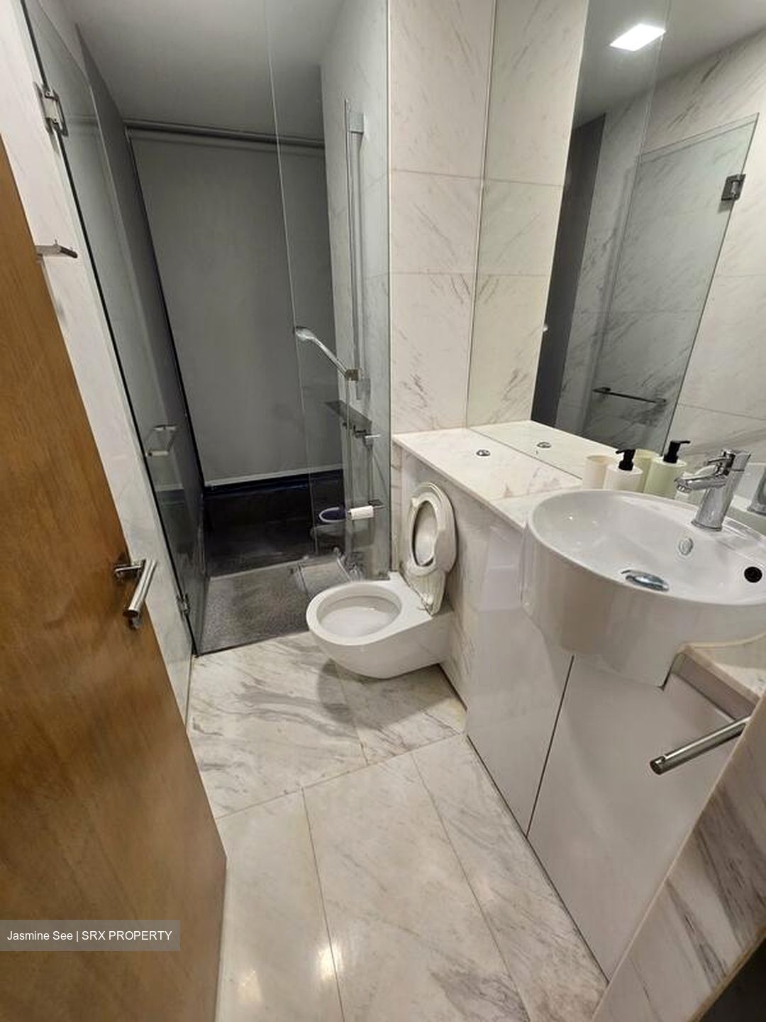 Newton Suites (D11), Apartment #519984271